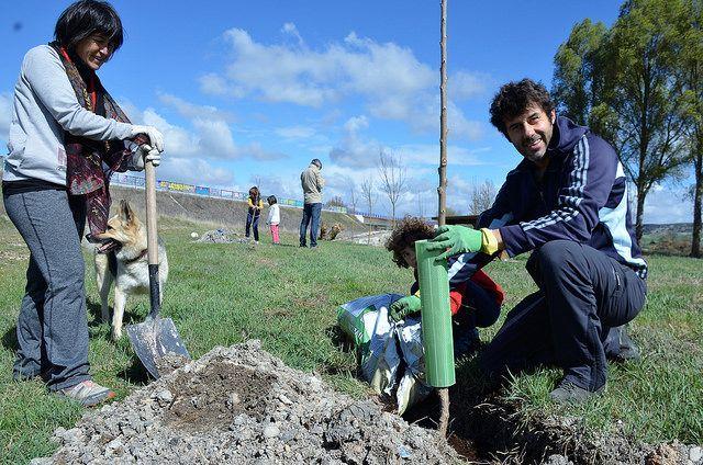 1 de Abril, día del árbol en Quintanaortuño