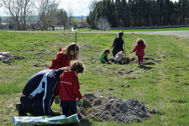 1 de Abril, día del árbol en Quintanaortuño
