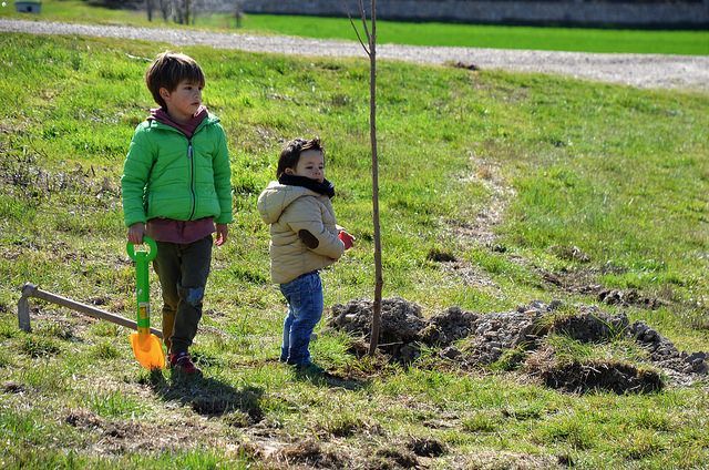 1 de Abril, día del árbol en Quintanaortuño