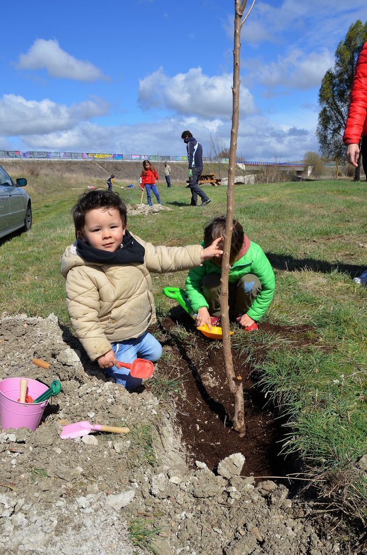 1 de Abril, día del árbol en Quintanaortuño