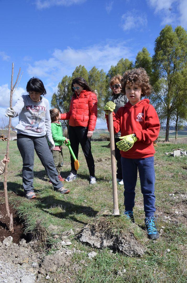 1 de Abril, día del árbol en Quintanaortuño