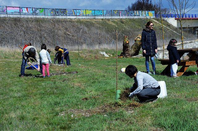 1 de Abril, día del árbol en Quintanaortuño