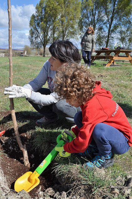 1 de Abril, día del árbol en Quintanaortuño