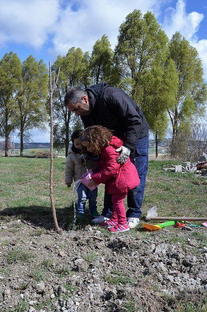 1 de Abril, día del árbol en Quintanaortuño