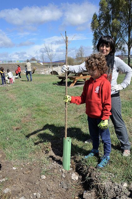 1 de Abril, día del árbol en Quintanaortuño