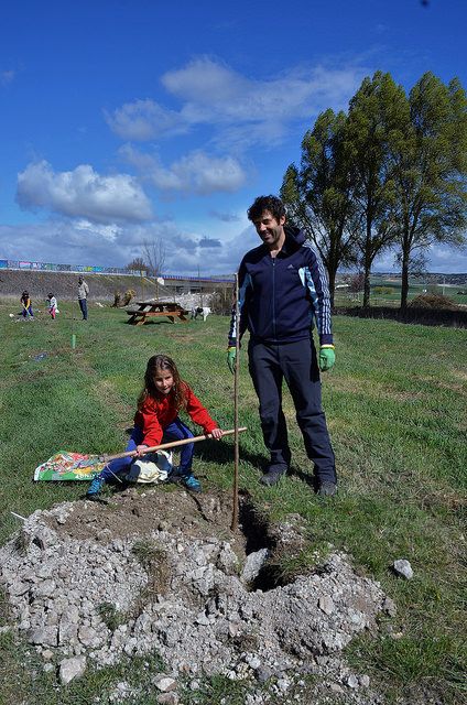 1 de Abril, día del árbol en Quintanaortuño