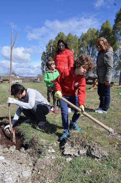 1 de Abril, día del árbol en Quintanaortuño